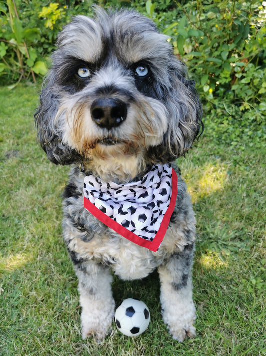 England Football Euros Dog Bandana