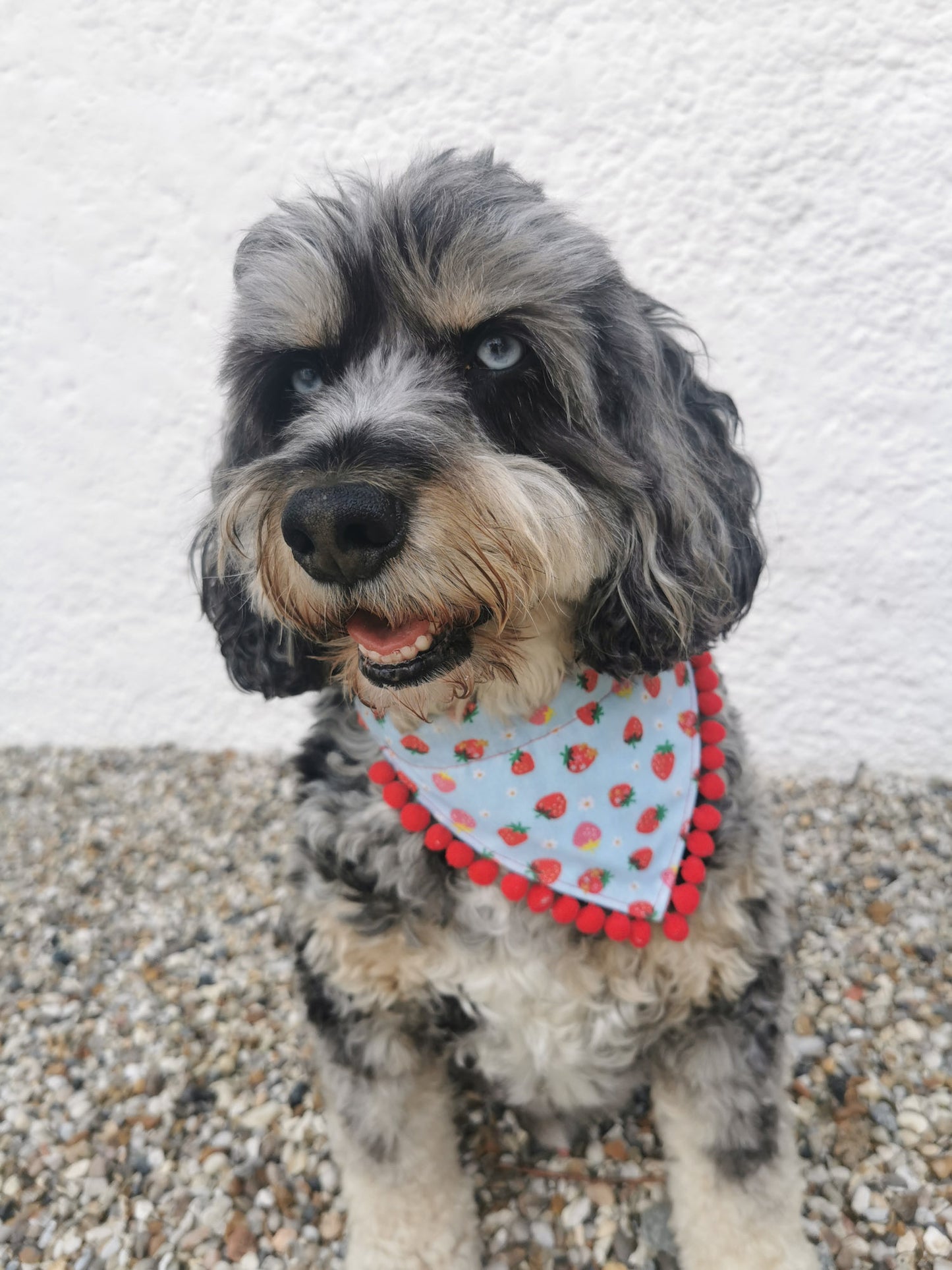 Wimbledon Strawberry Dog Bandana