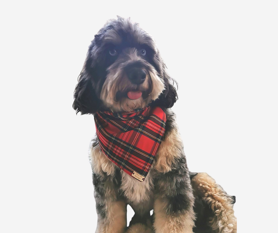 Tartan Dog Bandana