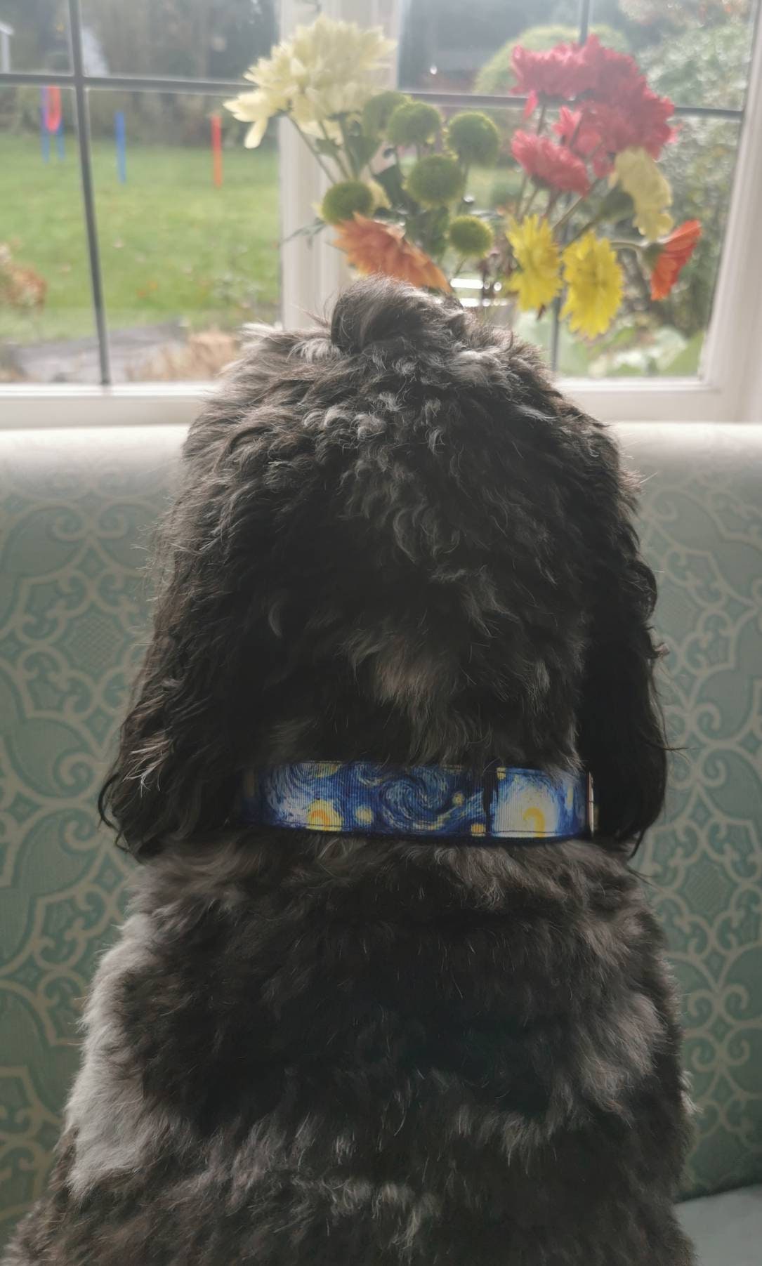 The Starry Night Van Gogh Dog Collar