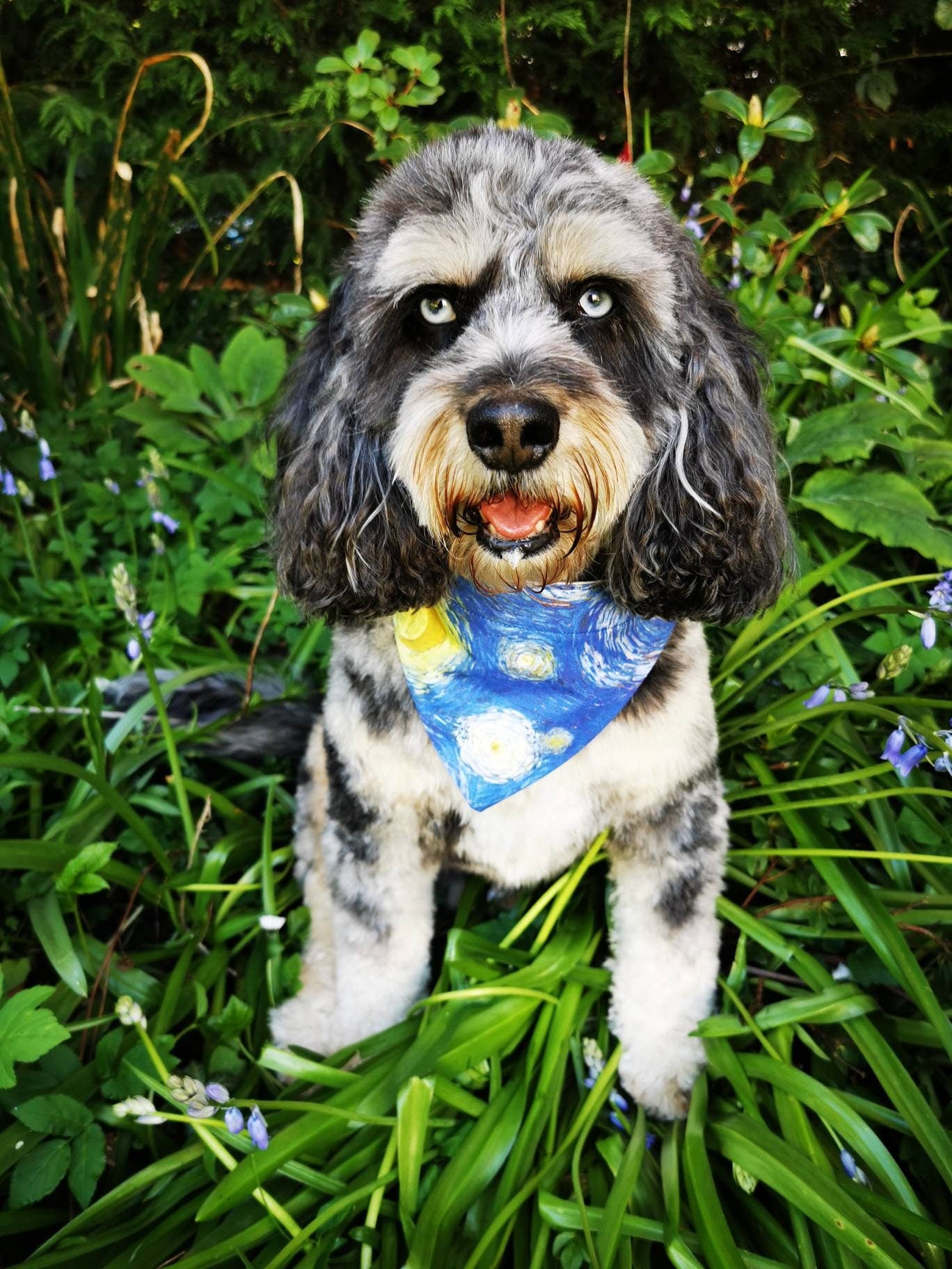 Van Gogh Dog Bandana